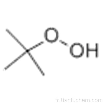 Hydroperoxyde de tert-butyle CAS 75-91-2